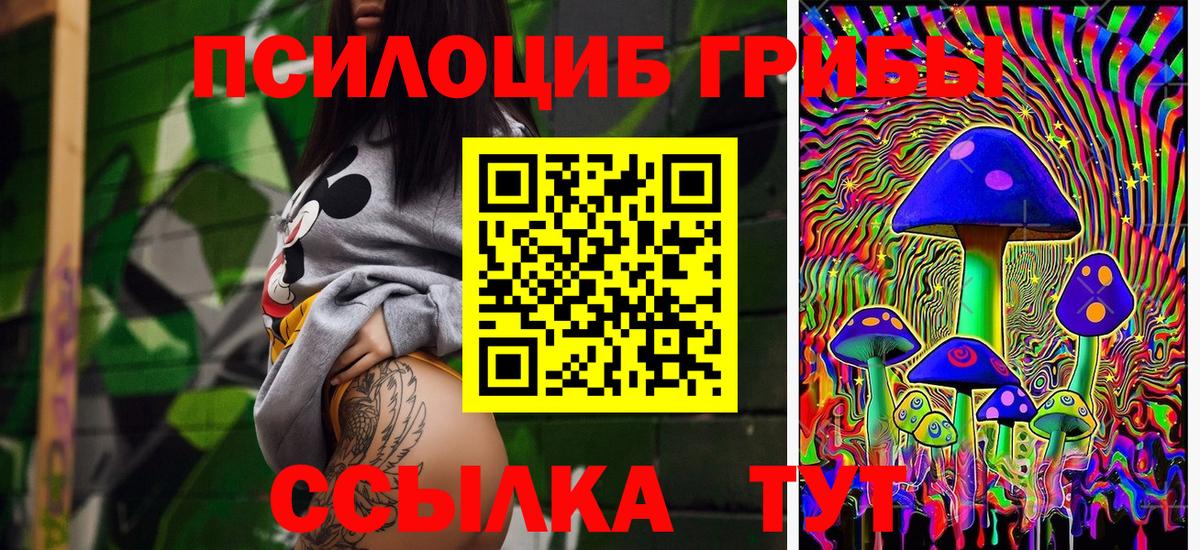 Псилоцибиновые грибы мицелий Реутов
