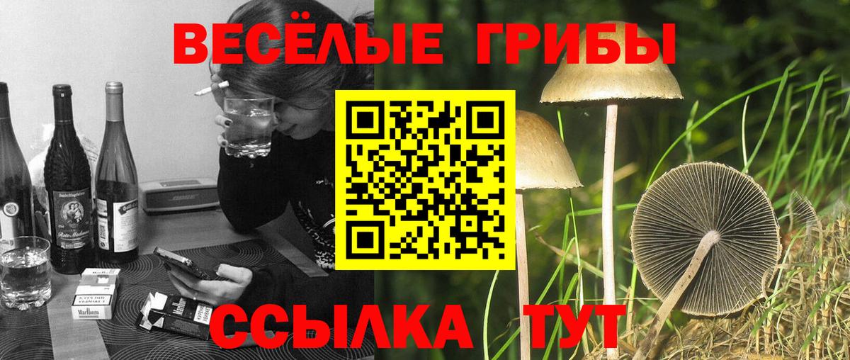 Галлюциногенные грибы Psilocybine cubensis  Вход с VPN  как найти наркотики  Реутов 